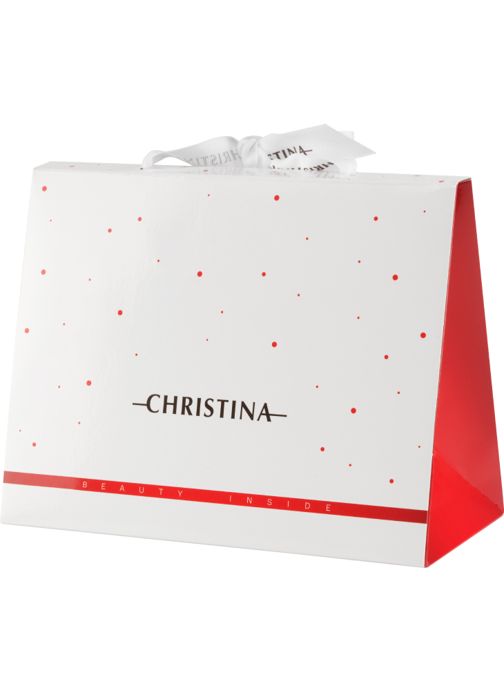 Подарочная коробка «Сумочка» от Christina