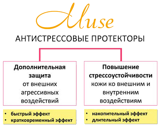 m2.png m2.png